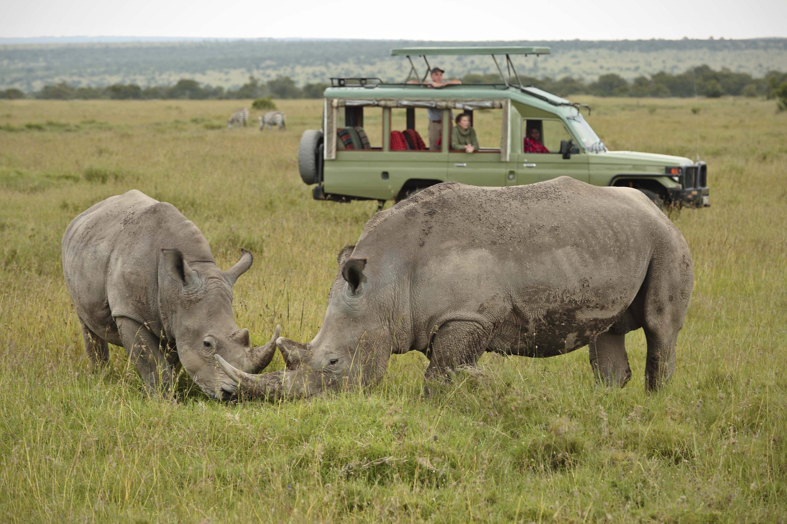 10-Day Kenya and Tanzania Luxury Safari 2026–2027