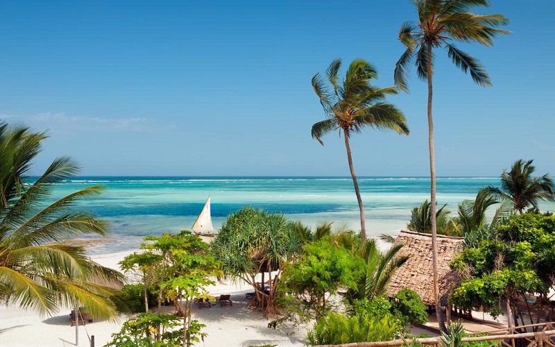 15 Things You Must See and Do in Zanzibar in 2026-2027