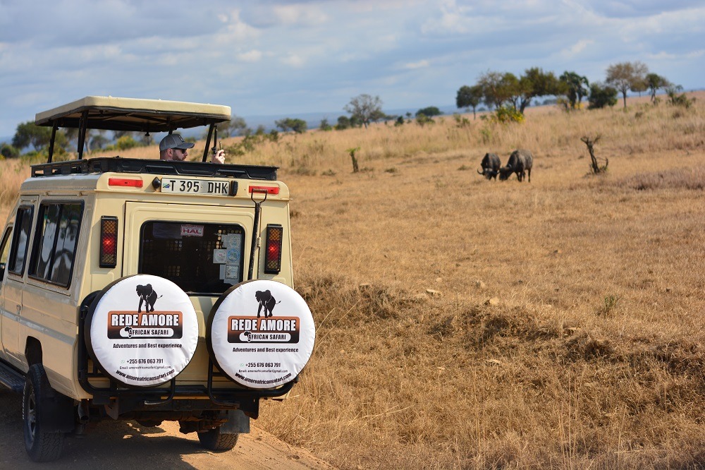 2 Days Family Mikumi Safari with Kilimanjaro Cultural Experience