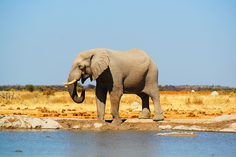 2-Days Tanzania Camping Safari 2027