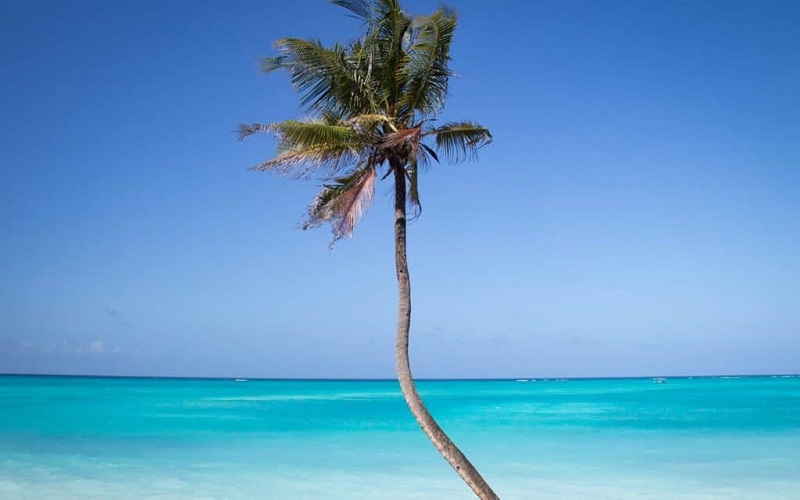 3-Days Zanzibar Spice & Stone Town Tour 2026-2027