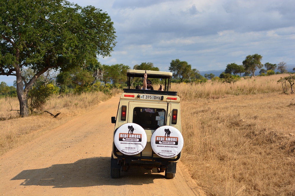 4 Days Mikumi & Ruaha Luxury Family Safari 2026-2027