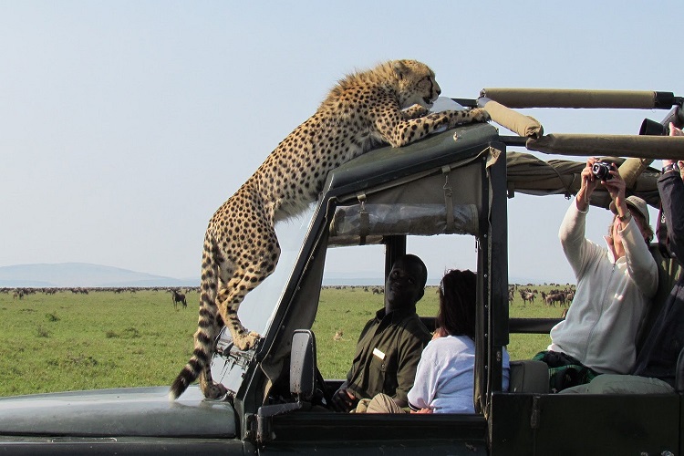 4-Days Tanzania Camping Safari 2026-2027