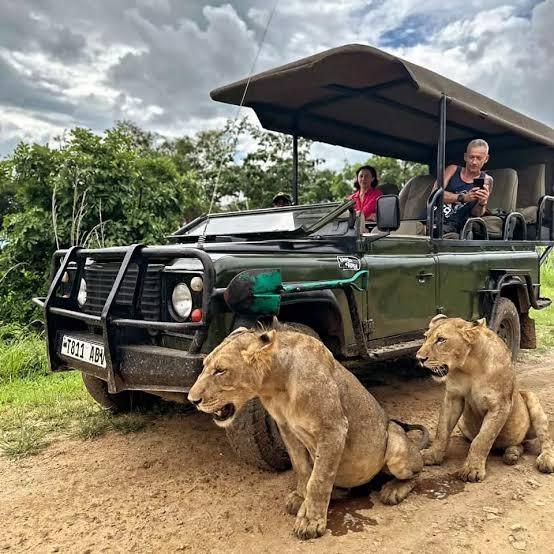 5 Best Things to Do from Mbeya City Region