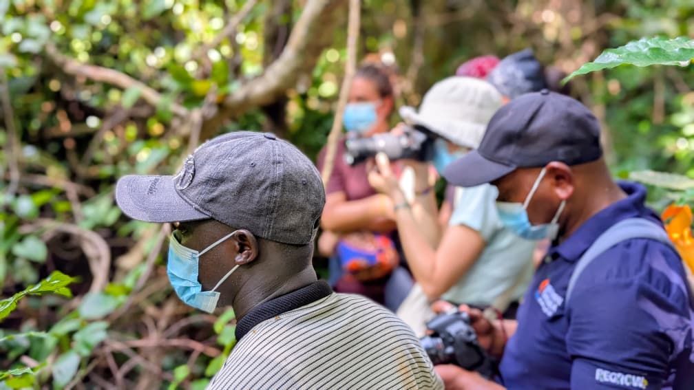 5 Days Gombe, Katavi and Kalambo Falls Safari in Tanzania