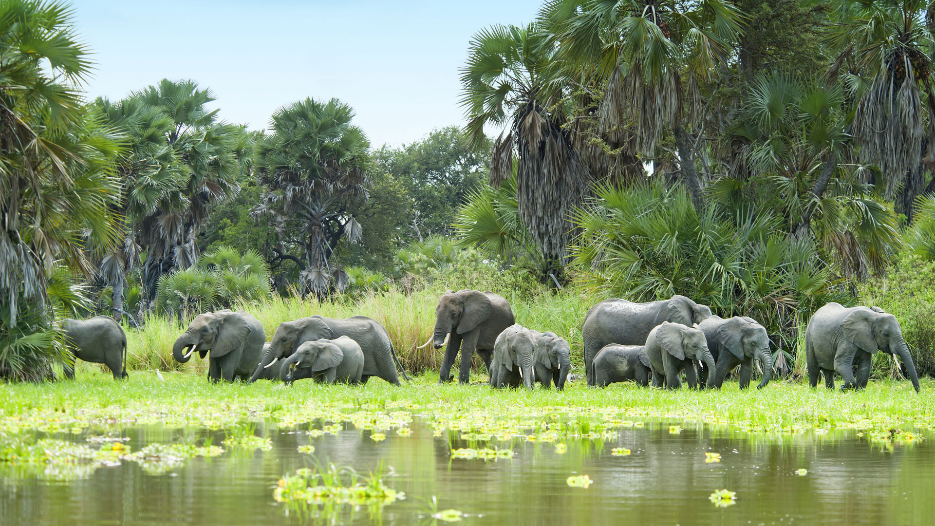 5 Days Selous Safari from Dar es Salaam