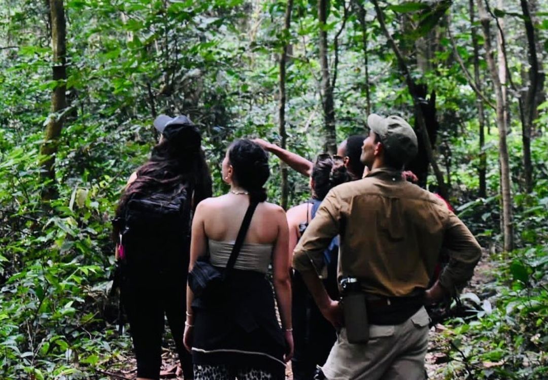 5 Days Udzungwa – Mikumi – Ruaha Safari