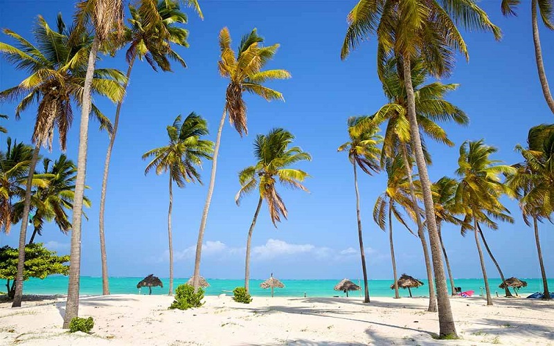 5-Days Zanzibar Photography & Nature Tour 2026-2027