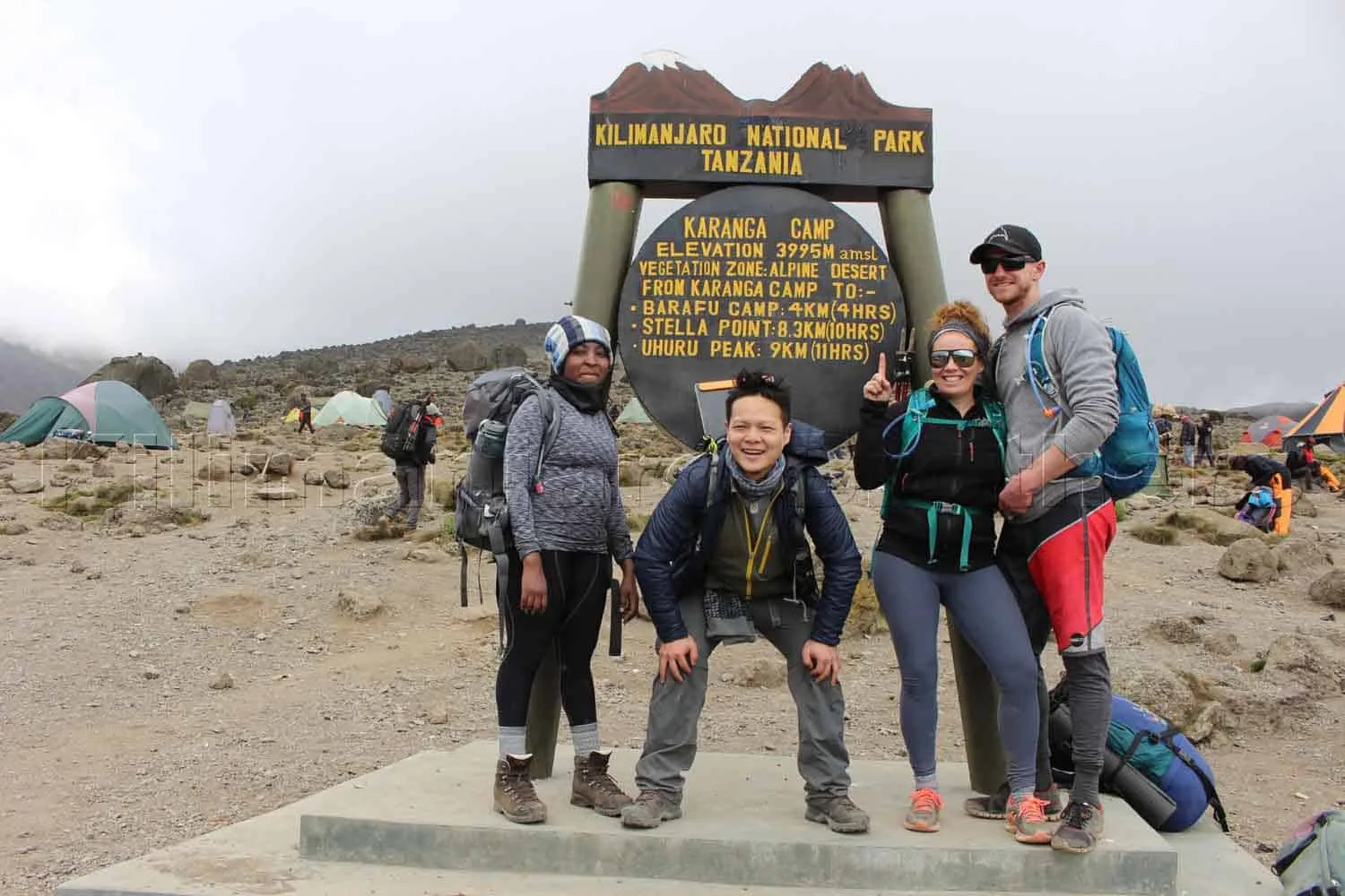 50+ Participant Kilimanjaro Hiking Challenge – 7 Days Lemosho Route.