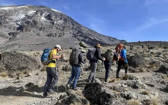 6天乞力马扎罗山马切姆（Machame）路线徒步之旅——62公里