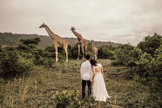 6-tägige Luxus-Hochzeitssafari in der Serengeti, Tansania 2026-2028