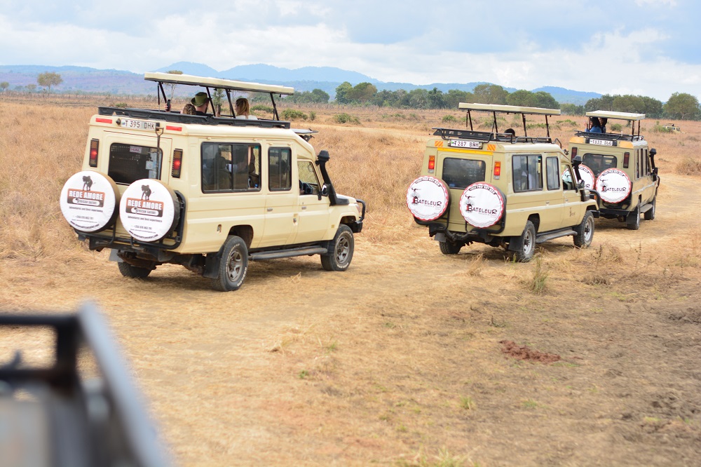 7-Day Small Group Kenya and Tanzania Safari