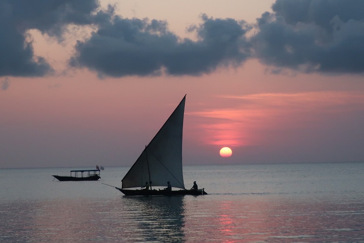 8-Days Zanzibar & Safari Luxury Adventure from Addis Ababa 2026-2027