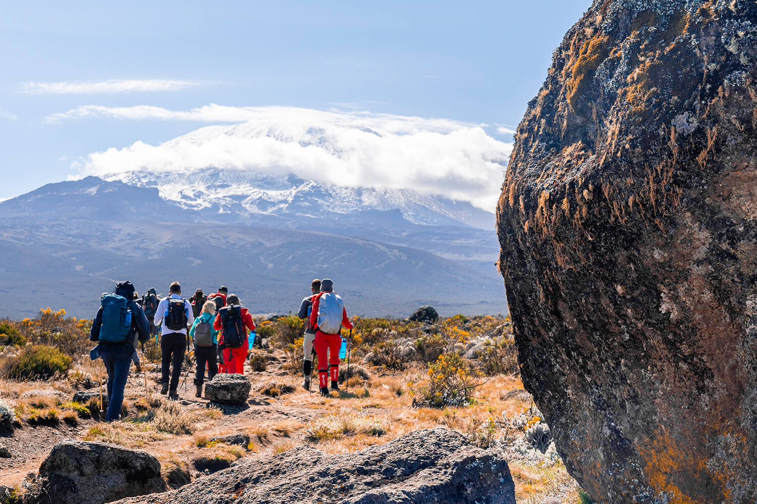 9-Days Luxury Northern Circuit Kilimanjaro 2026-2027