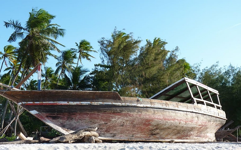 9-Days Zanzibar & Mikumi Safari Experience 2026-2027