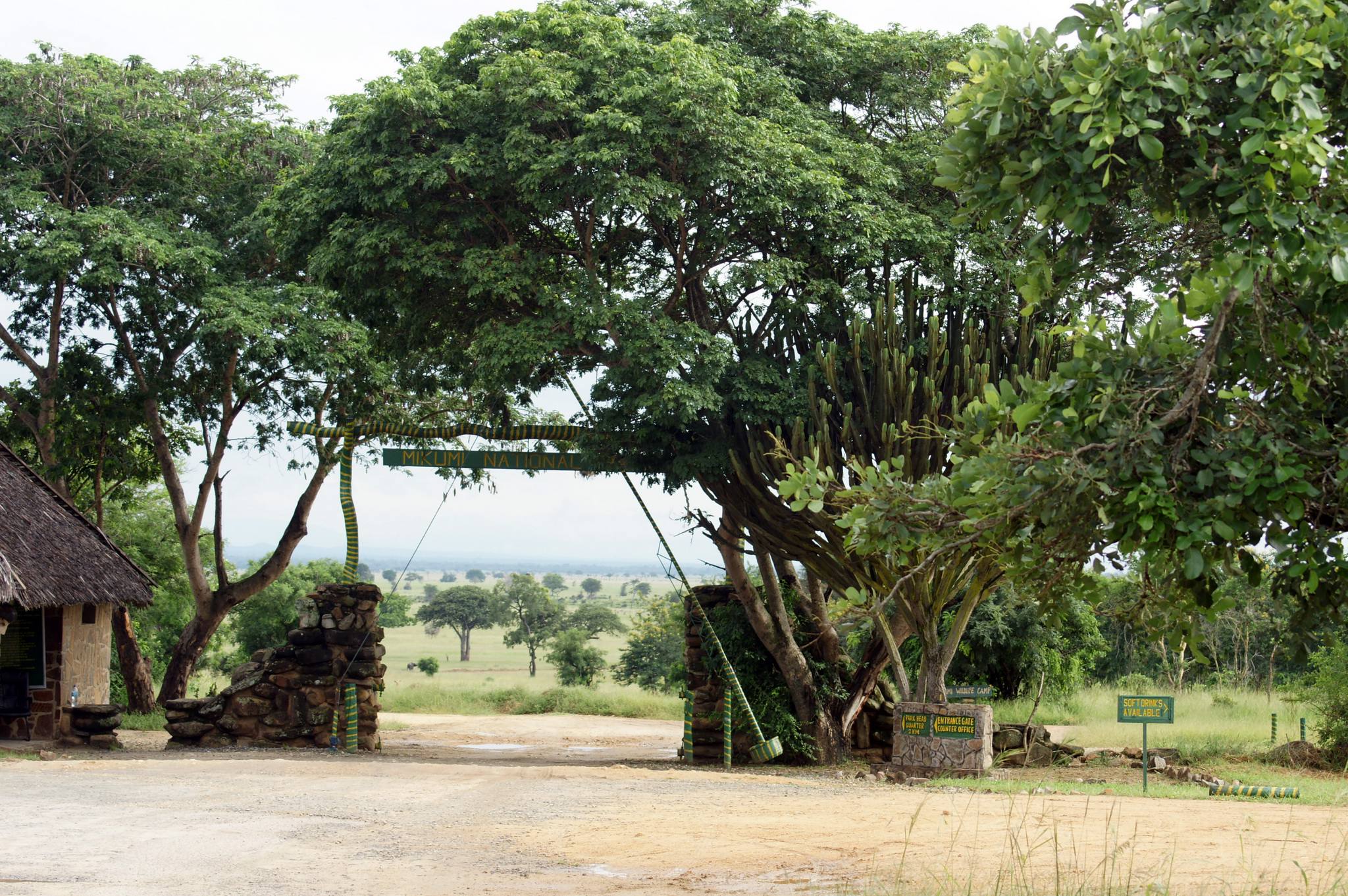 Blog image