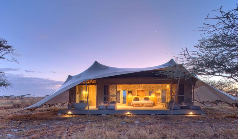 Best Luxury and Budget Camps in Northern Serengeti