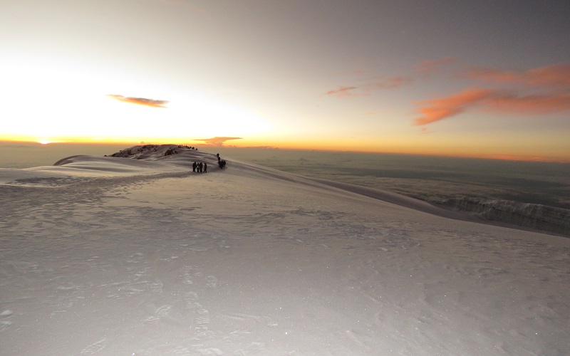 Selous National Park Safari