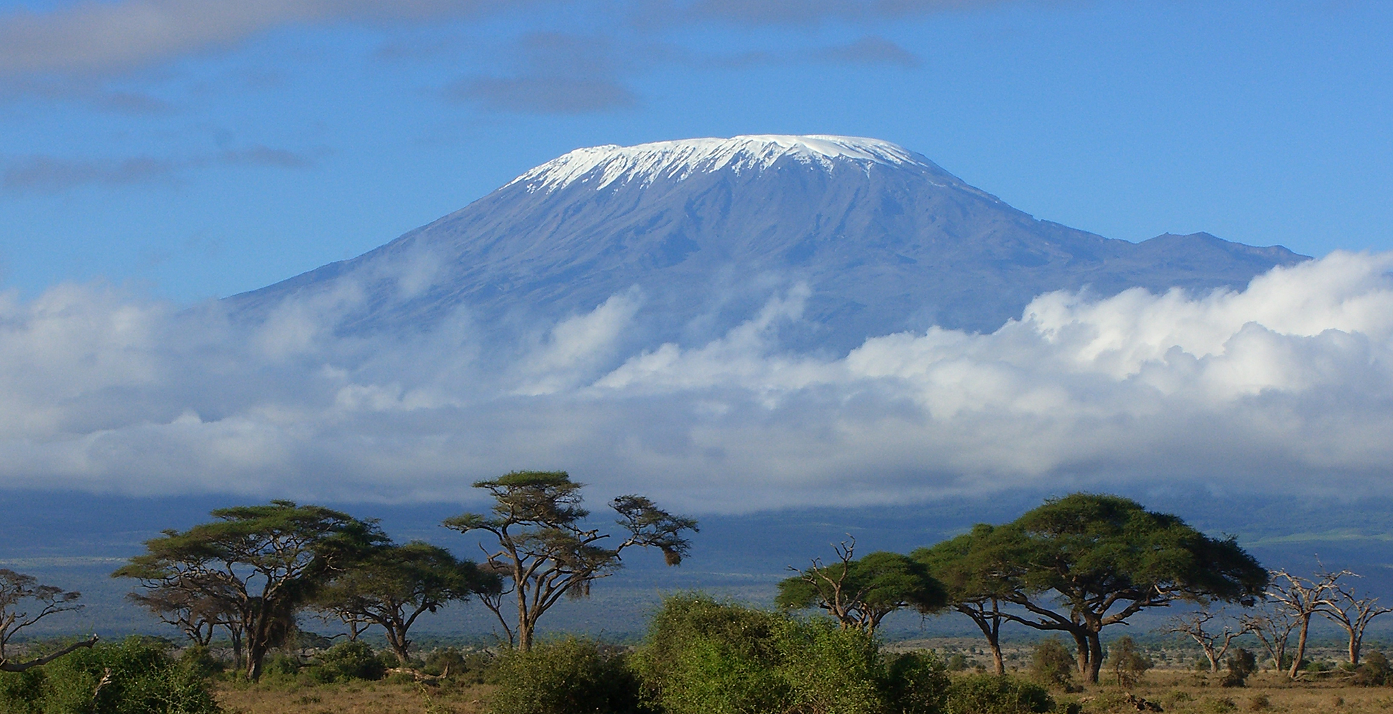 Selous National Park Safari