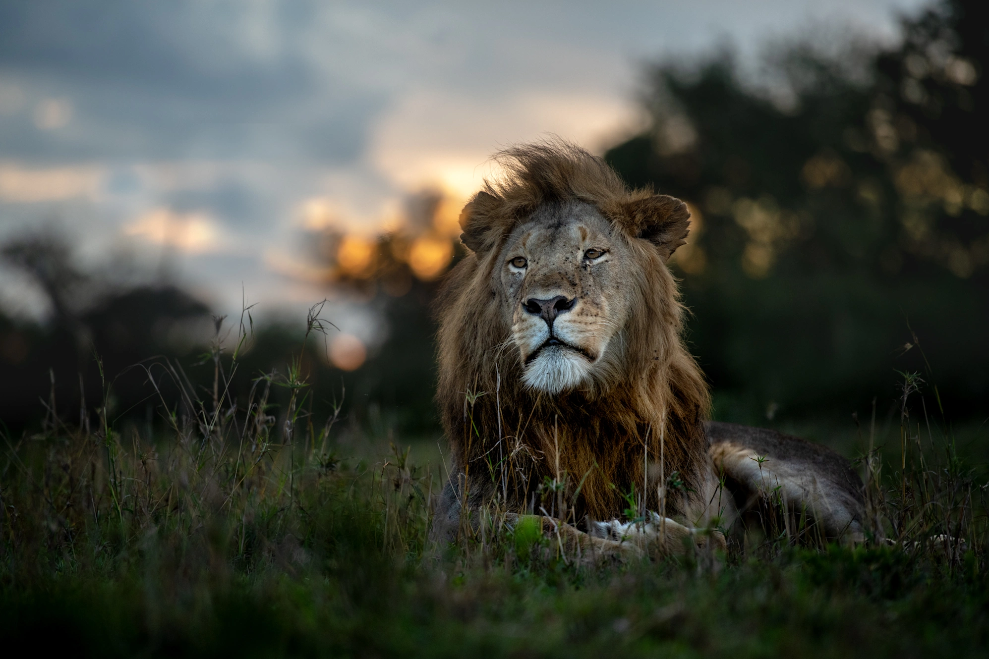 Fly-In Fly-Out Best 3 Days Safari to Serengeti National Park