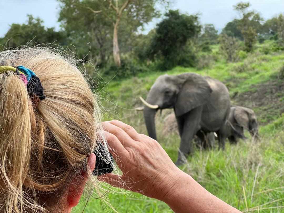 High End Leading luxury safari company in Tanzania