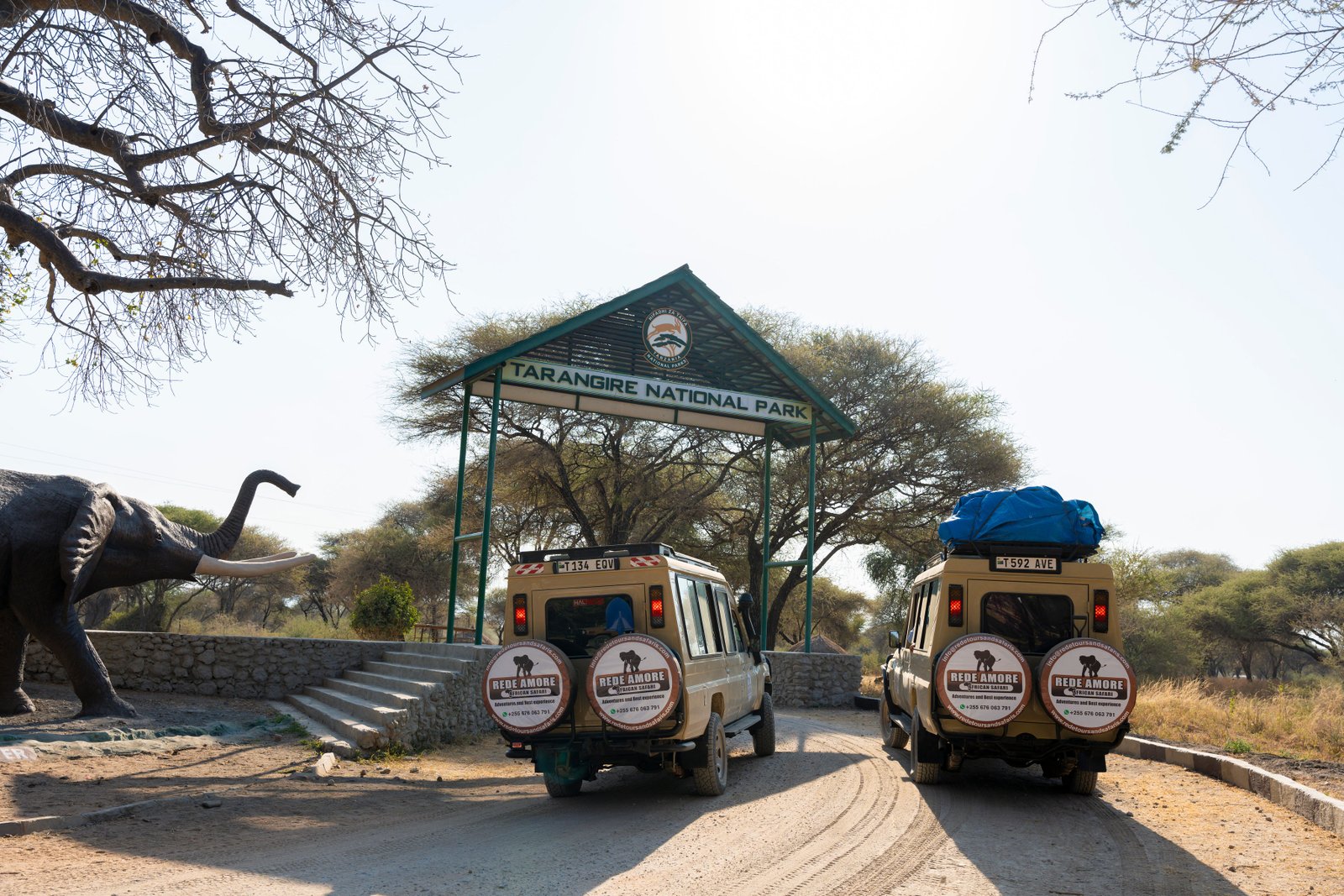 How to Book a Safari in Tanzania: 5 Simple Steps to Plan Your Safari