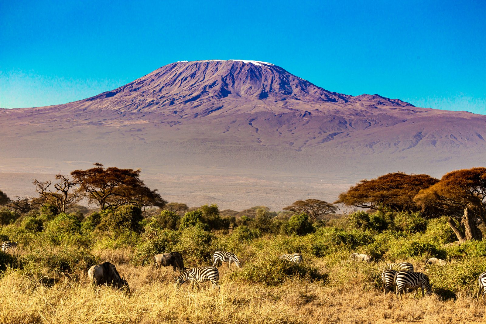 How to Climb Mount Kilimanjaro: A Complete Beginner's Guide