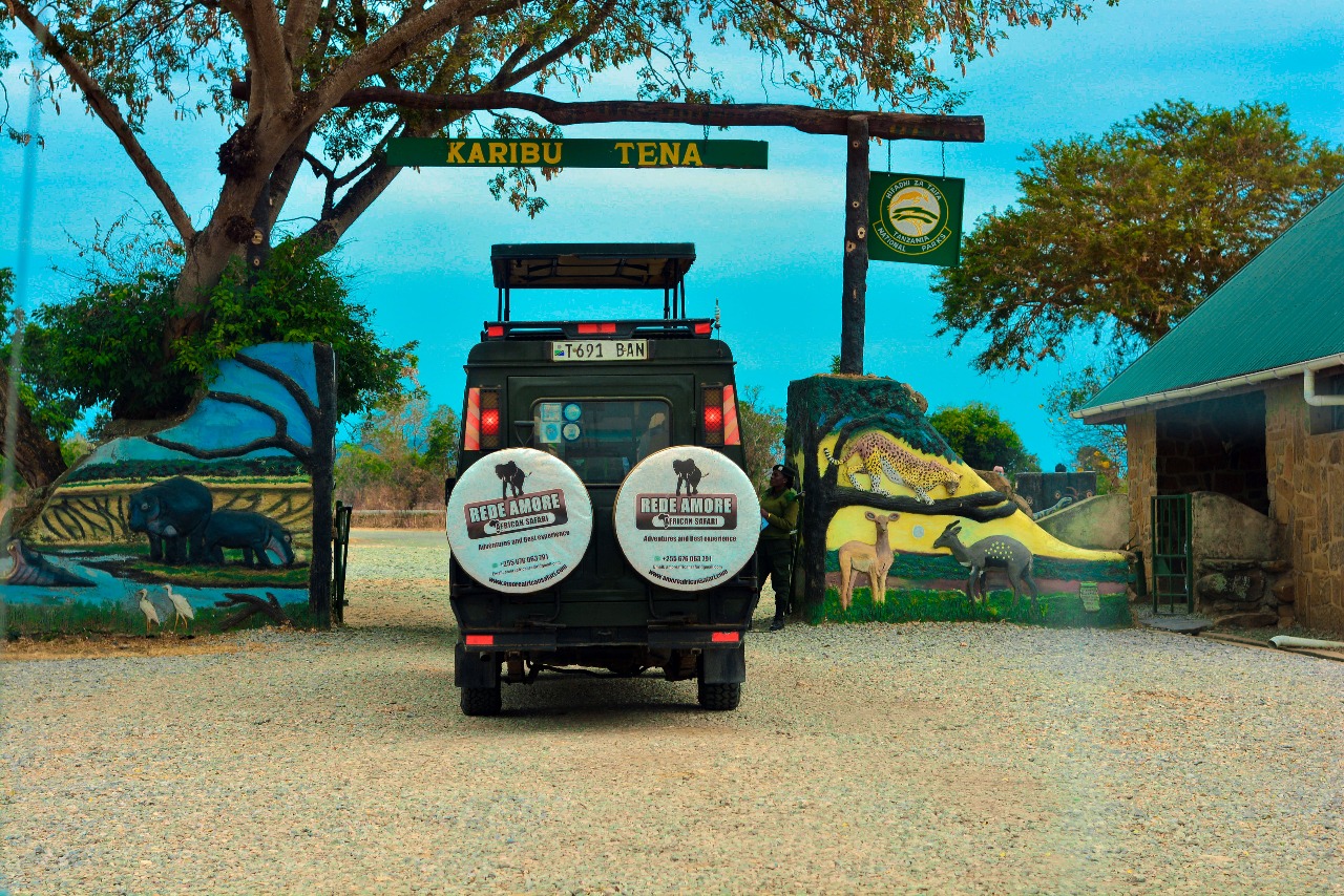 How to Get to Mikumi National Park