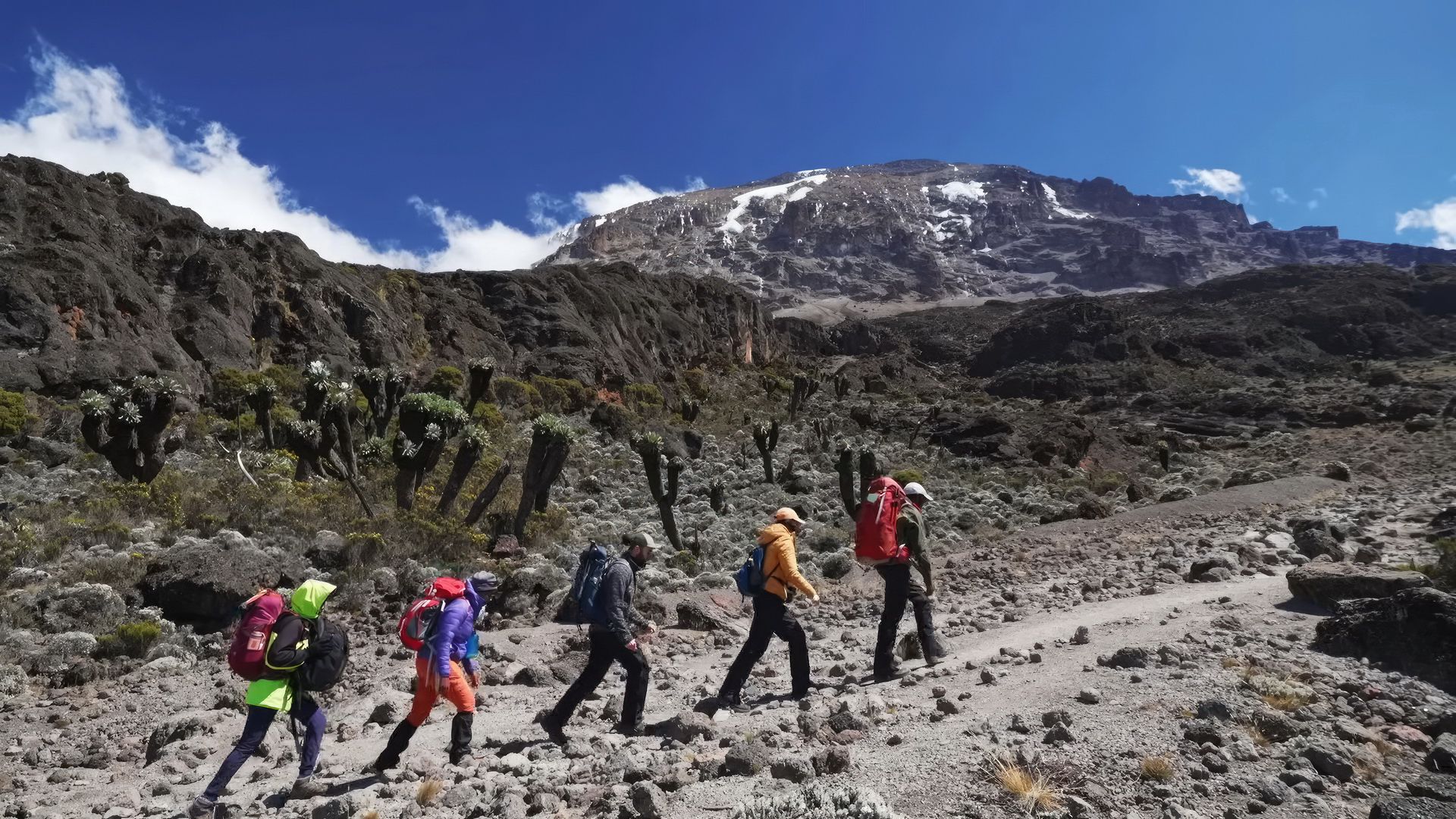 Is It Worth It to Hike Mount Kilimanjaro?