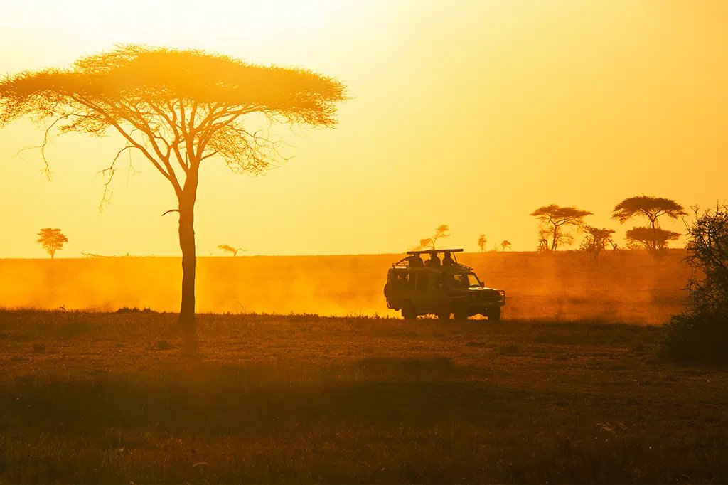 Is Mikumi National Park Safari Worth it?