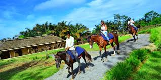 MERU FOREST ADVENTURES DAY TRIP
