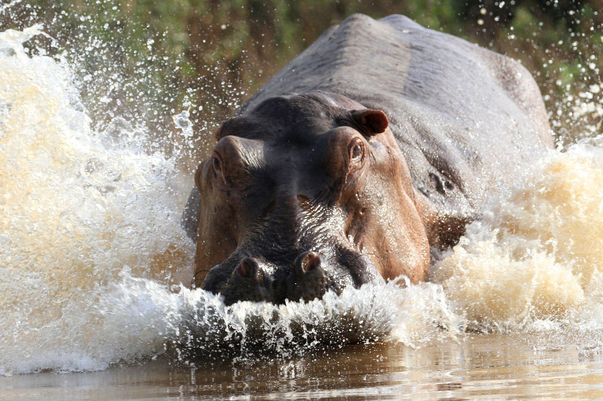 Private 2 Days Selous Safari from Dar es Salaam