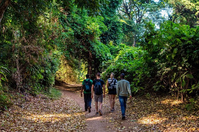 Rau Forest Reserve Nature Walk-Day Trip