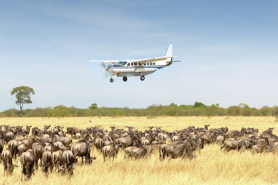 Small Group Tanzania Luxury Tours & Private Safari Experience