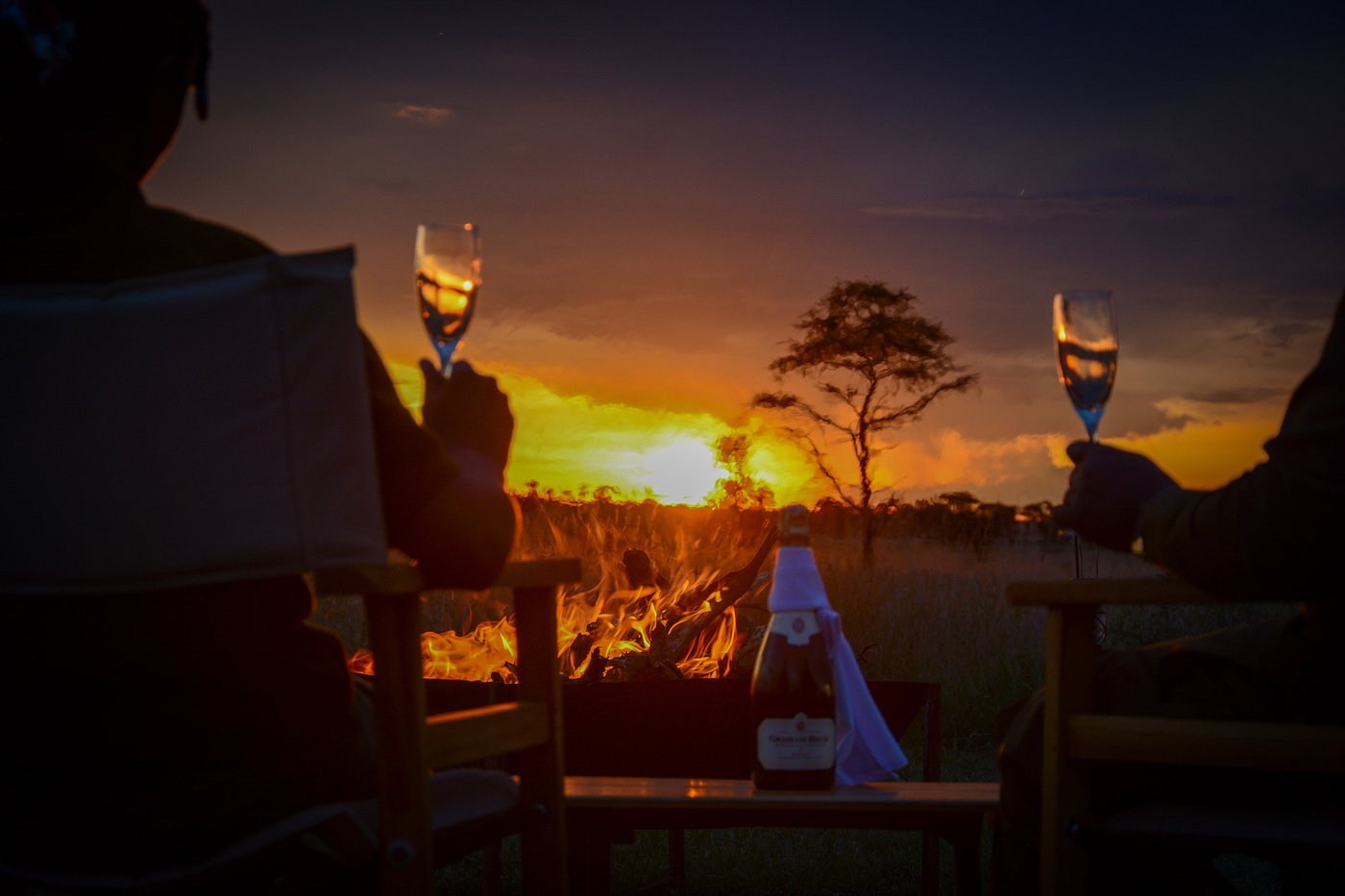 Top 10 Best Hotels in the Serengeti 2026–2027