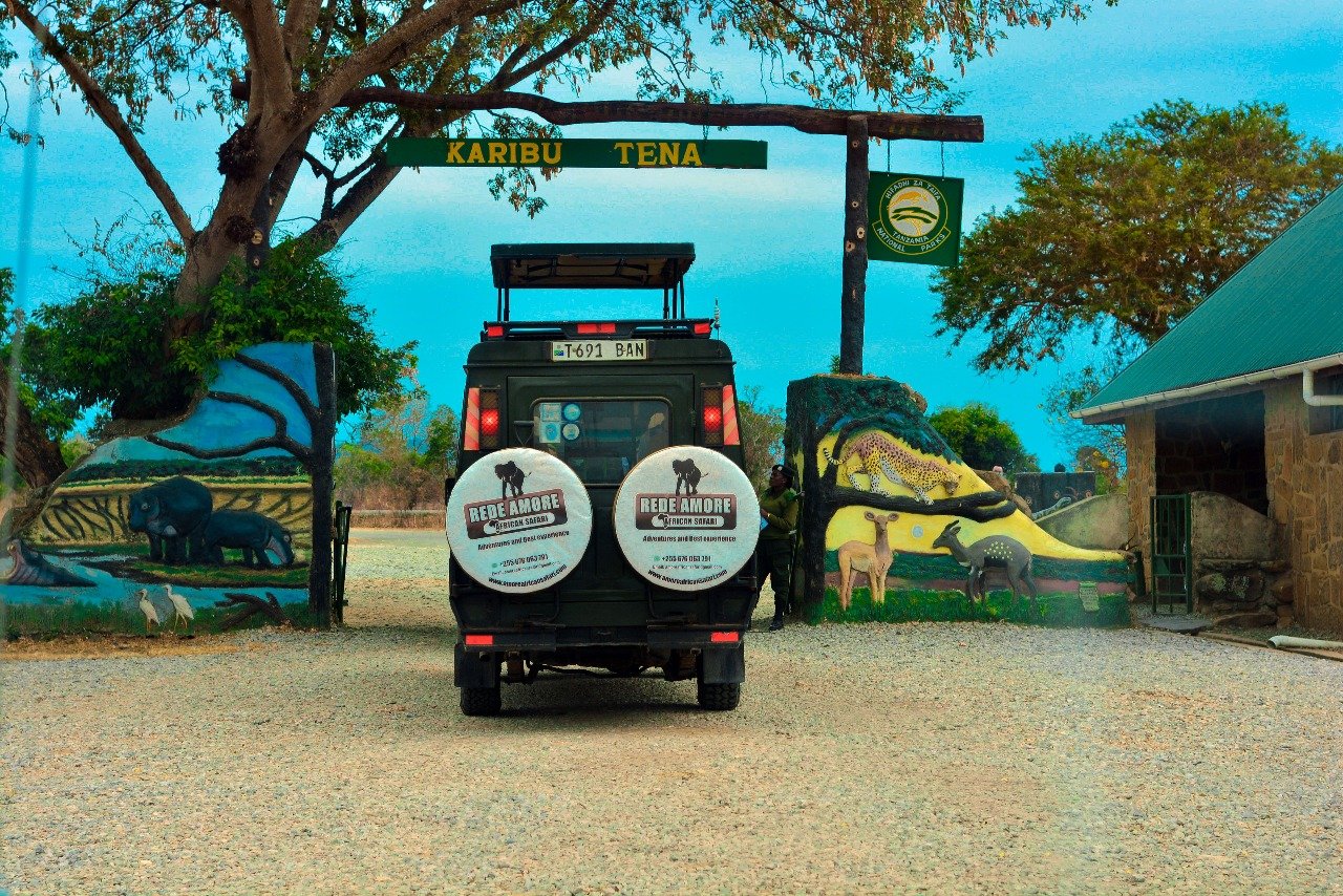 Best Tanzania Safaris for Solo Travelers