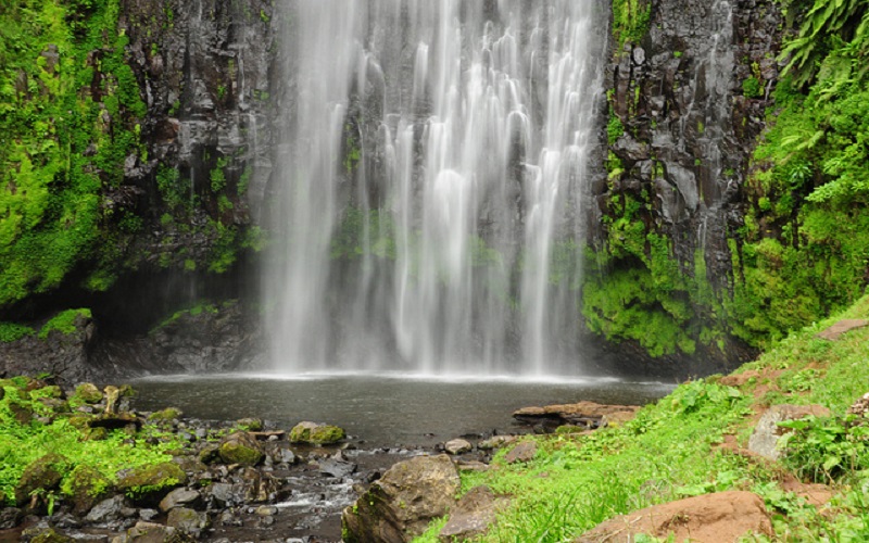 Udzungwa Rainforest Trek & Swimming at Sanje Falls 2026-2027