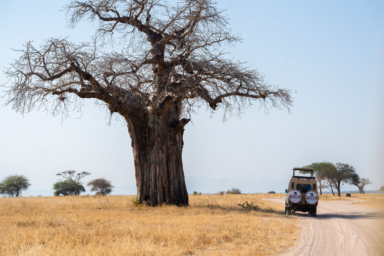 Ultimate Tanzania Safari Guide (2026–2027): Everything You Need to Know