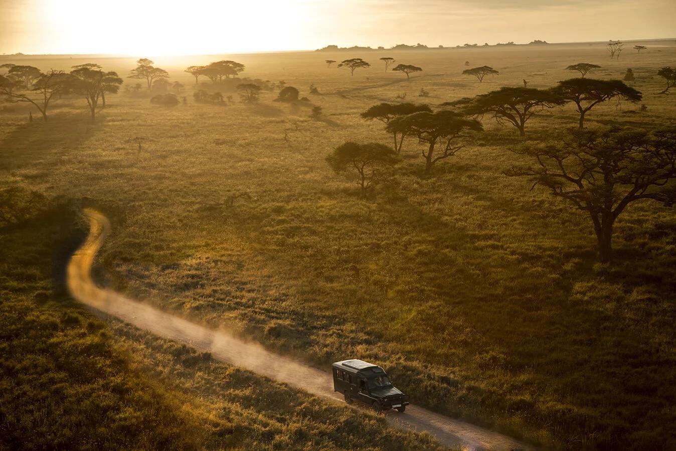 What Makes Serengeti National Park So Unforgettable?