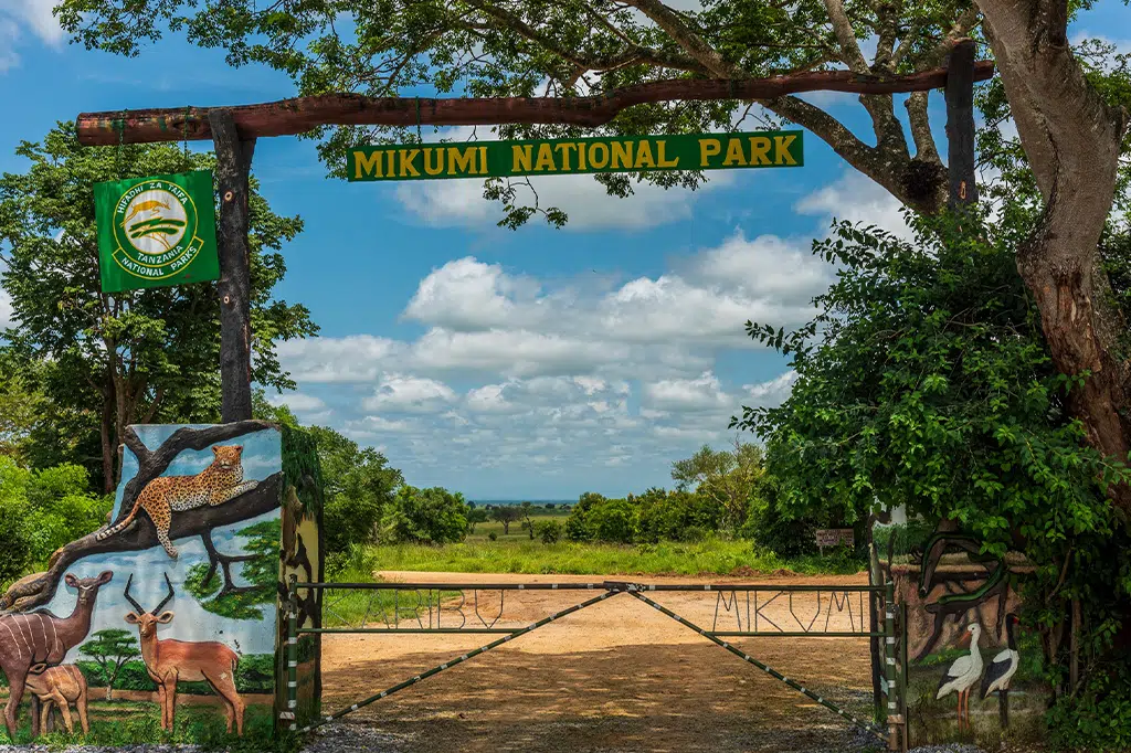 What to Do in Mikumi National Park