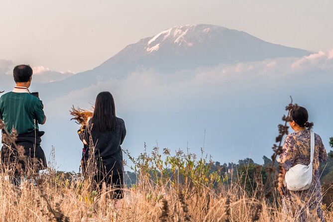 Where to Enjoy Nightlife in Moshi: Bars, Music, and Local Evening Culture