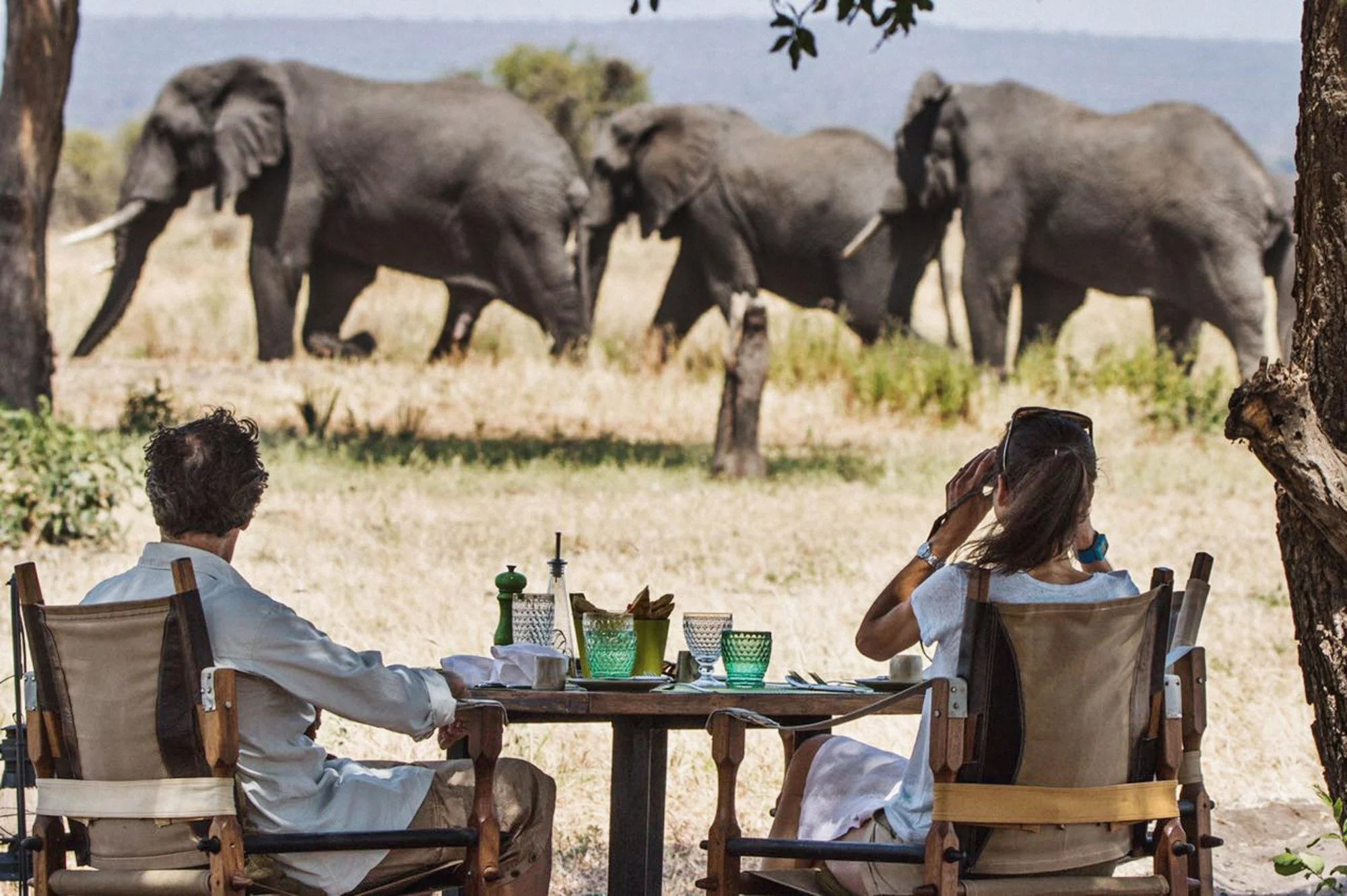Why Tarangire Is Perfect for Solo Travelers and Couples