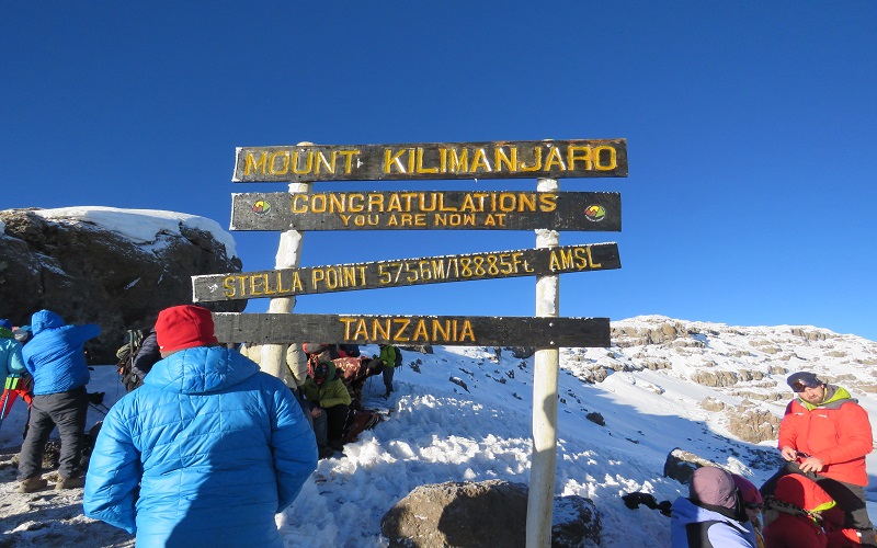 Kilimanjaro Groups