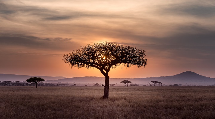 2 Days Tanzania Safari