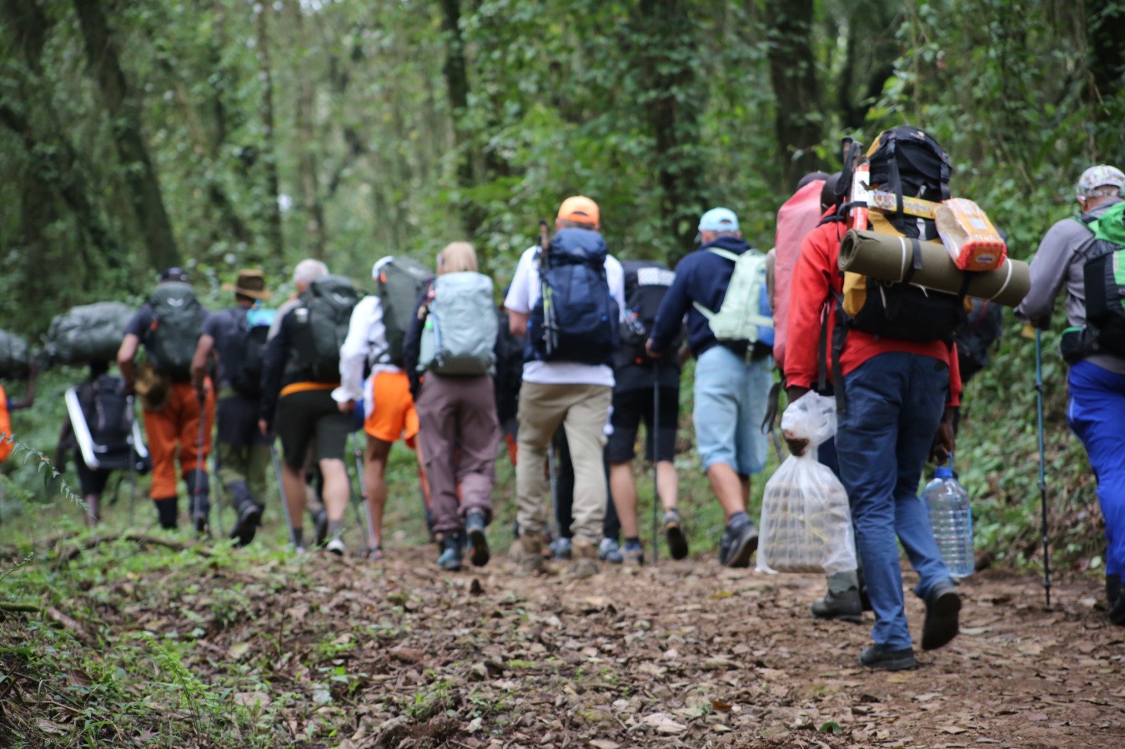 6 Days Machame Route Kilimanjaro Hiking Tour