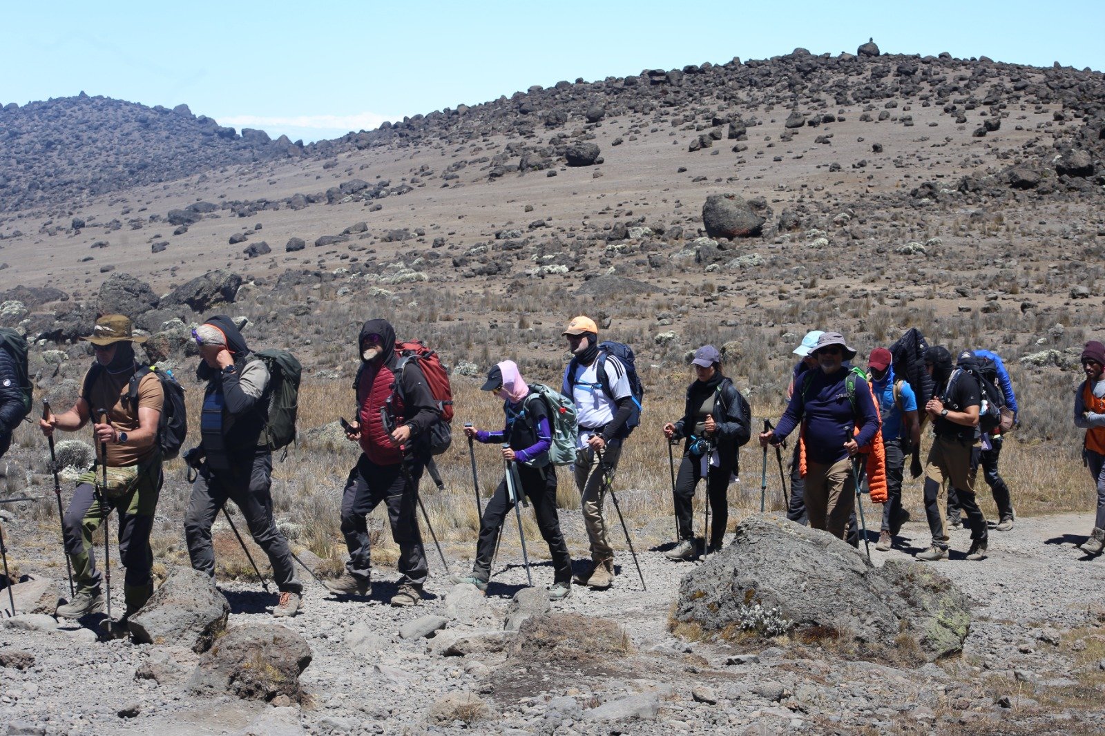 8 Days Lemosho Route Kilimanjaro Hiking Tour