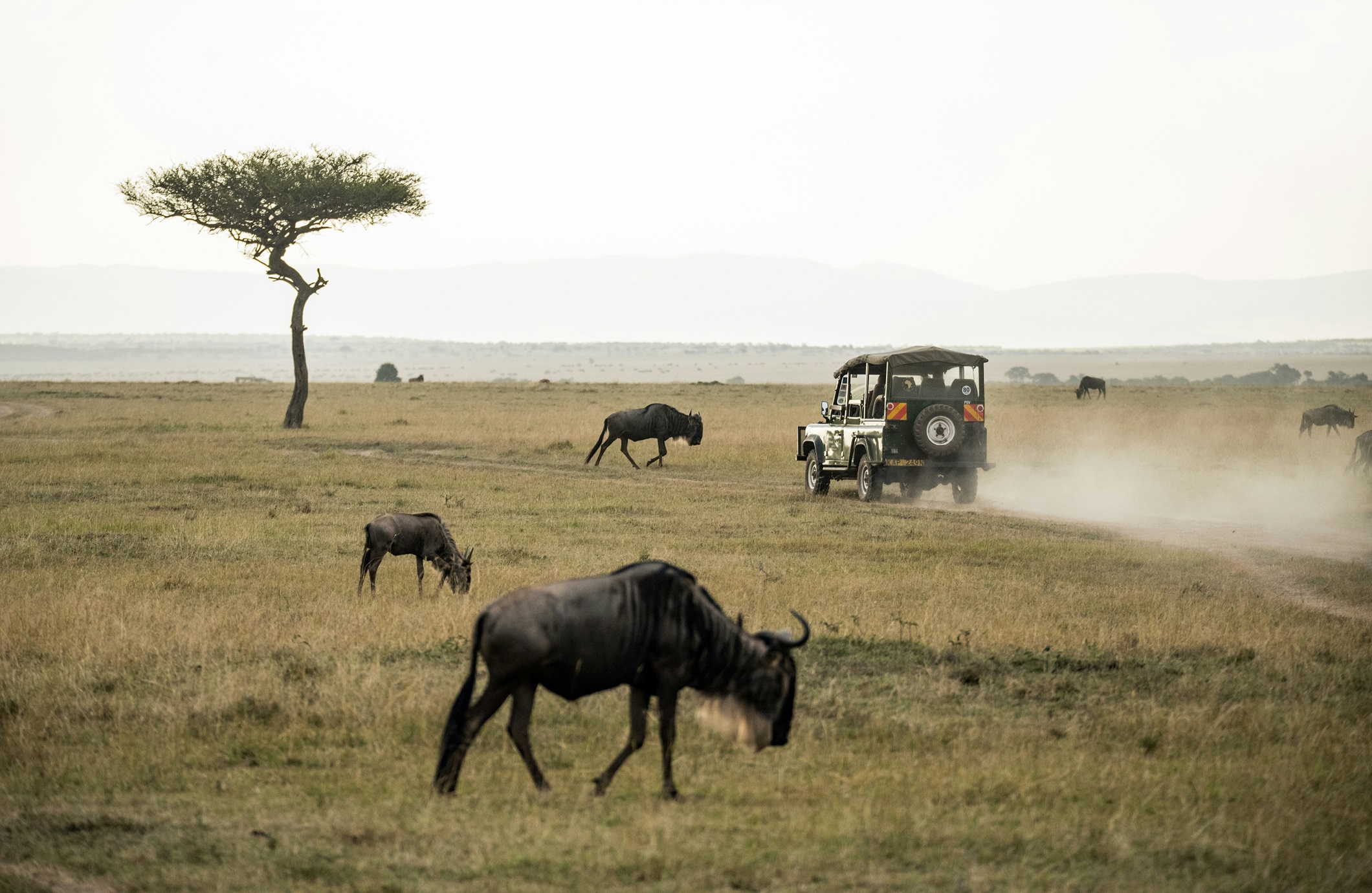 3-Day Samburu National Park Safari