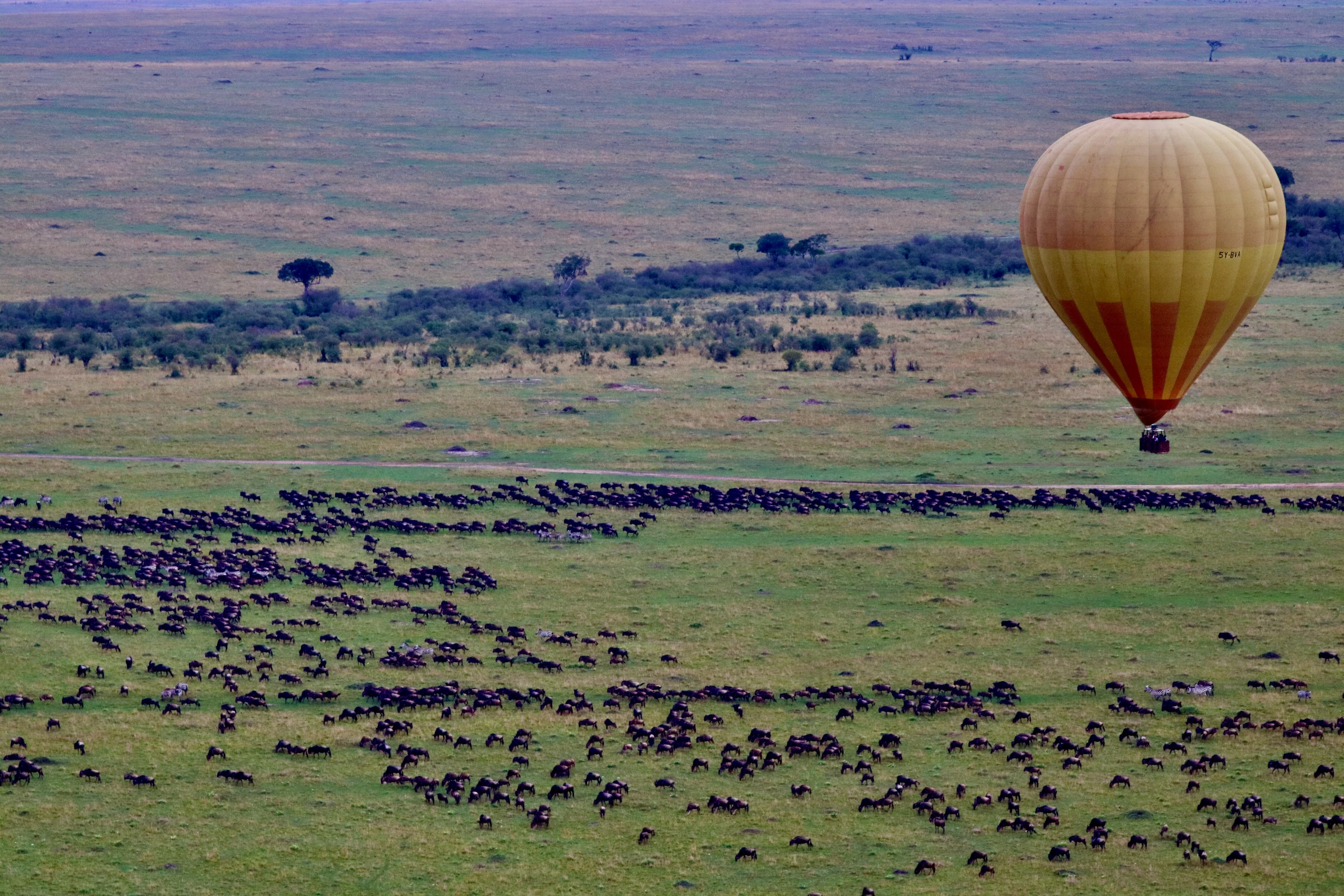 Balloon Safaris