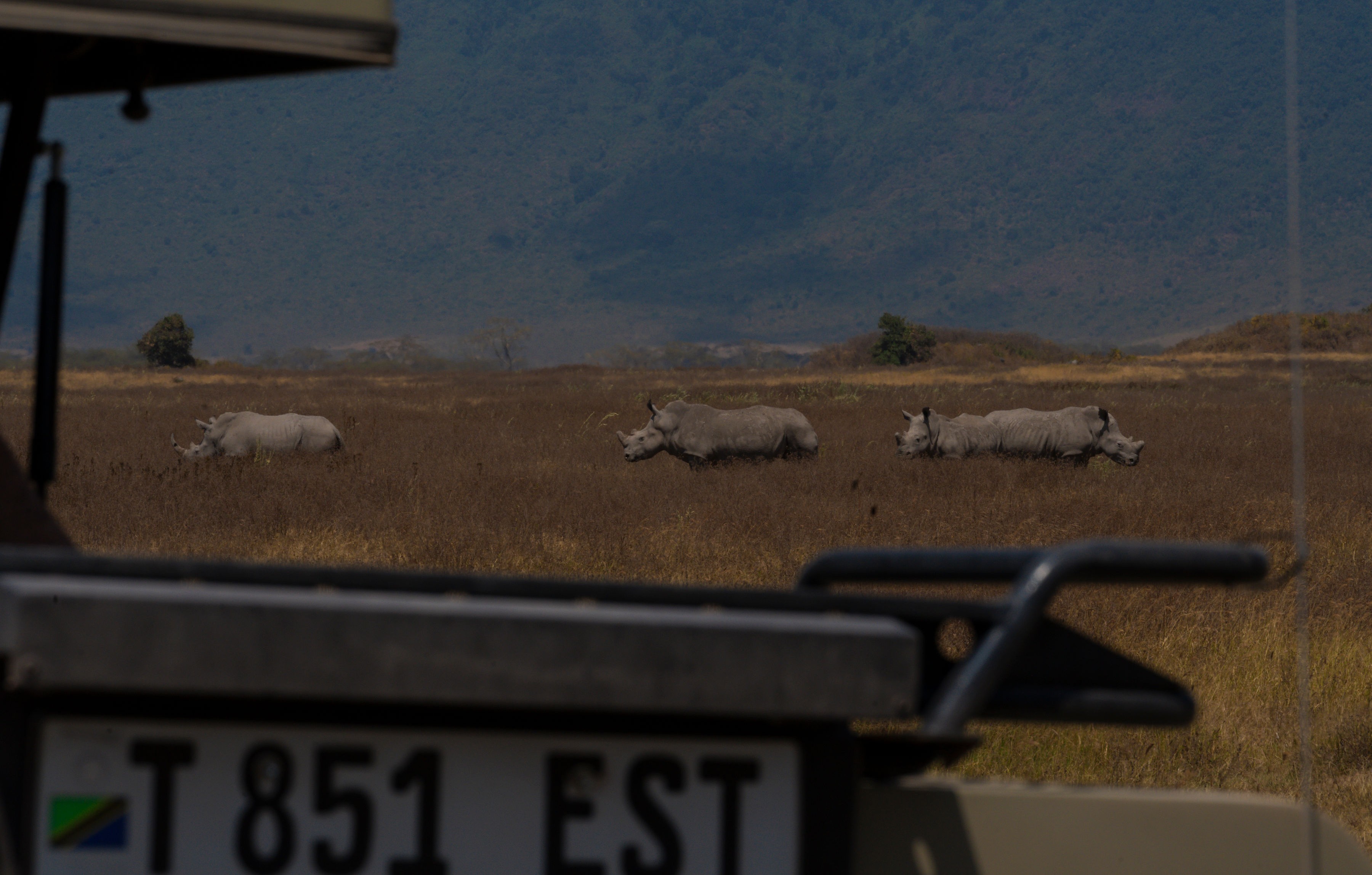 rhino spotted in Serengeti during luxury safari with rede tours