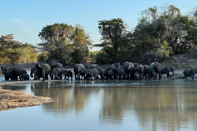 Bagamoyo & Saadani Safari